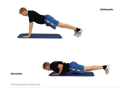 Etunojapunnerrus kuva